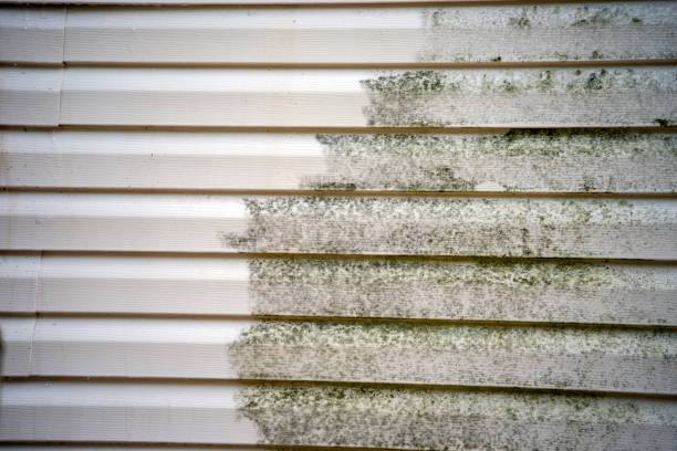 Best Basement Cleanout  in Colma, CA