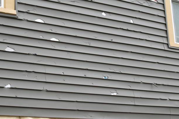 Best Hoarding Cleanup  in Colma, CA